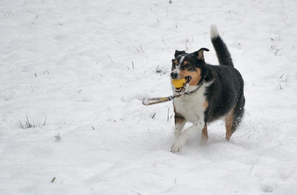 Endlich Schnee