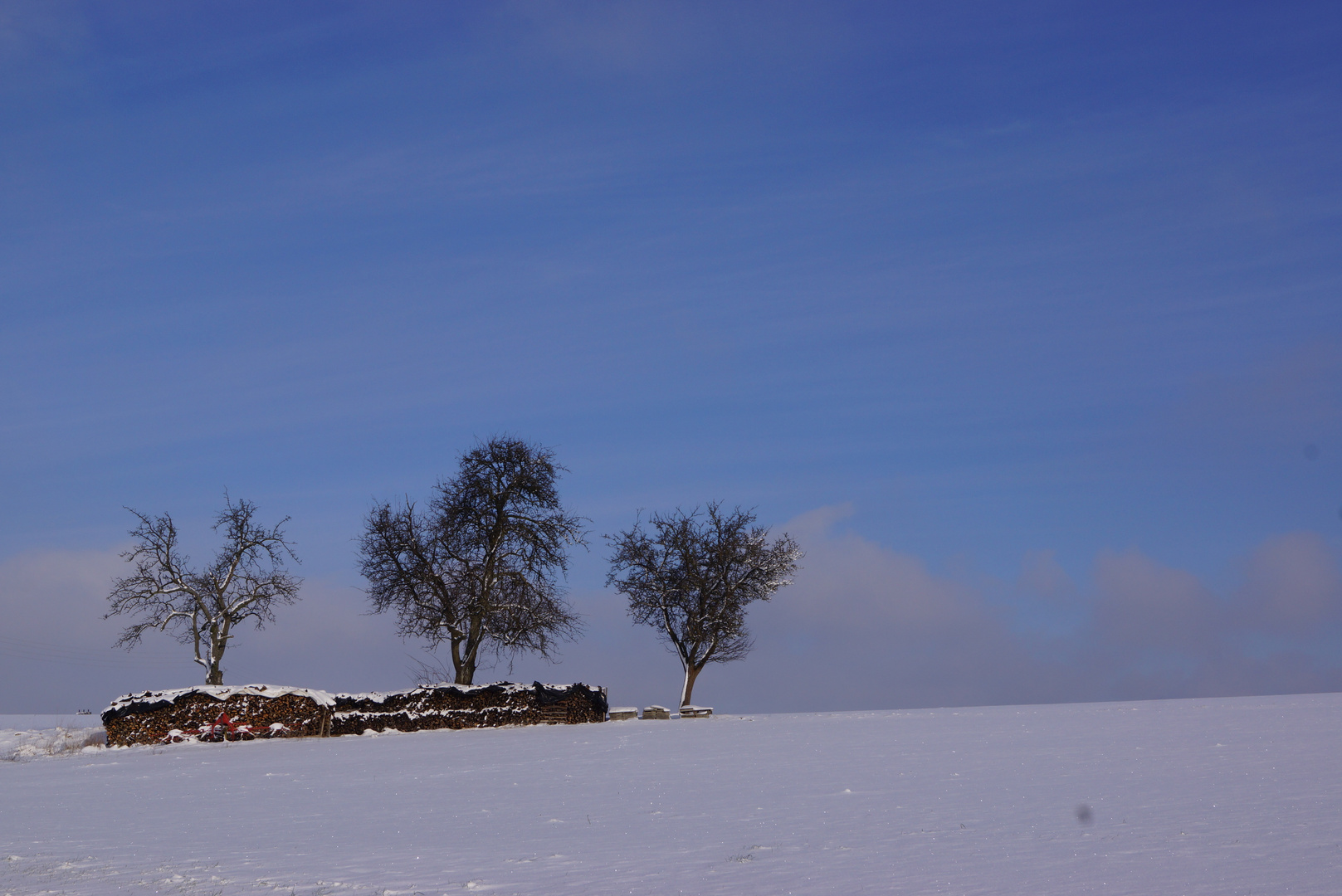 endlich Schnee