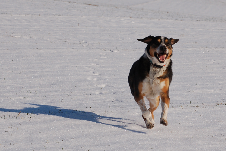 Endlich Schnee