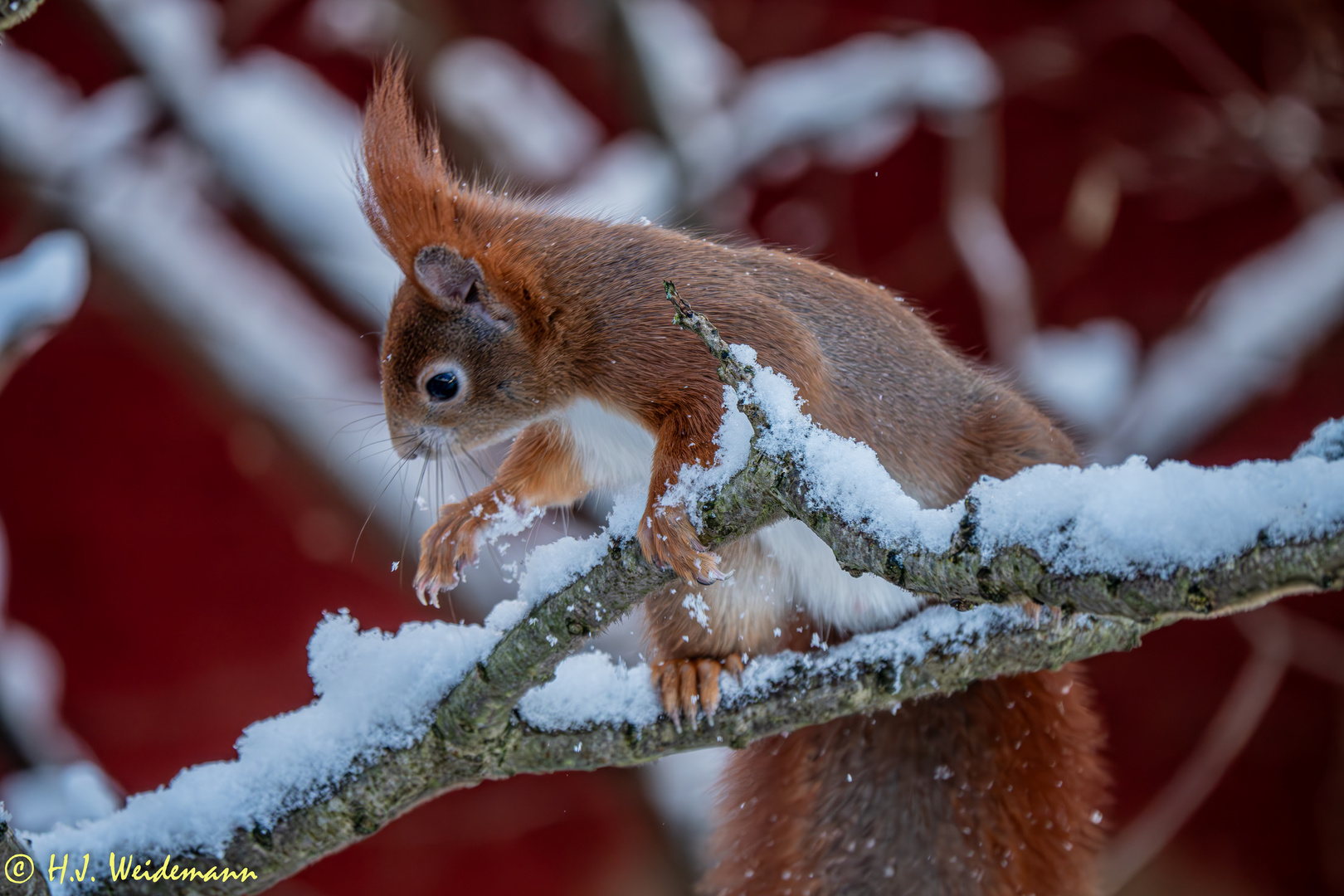 Endlich Schnee 