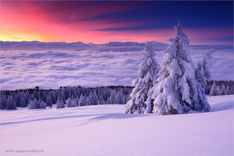 Endlich Schnee! Foto & Bild europe, schweiz & liechtenstein, kt