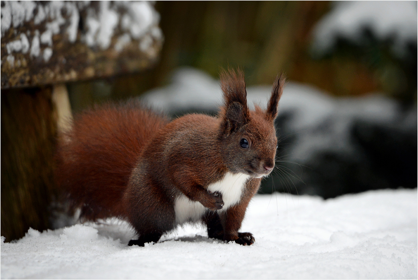 Endlich Schnee...