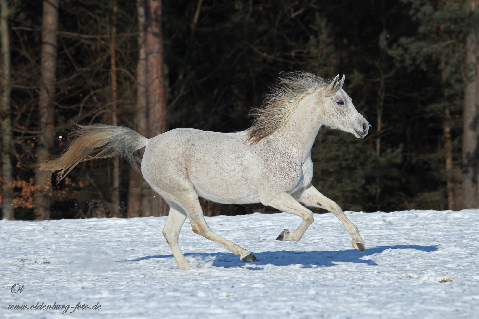 Endlich Schnee......