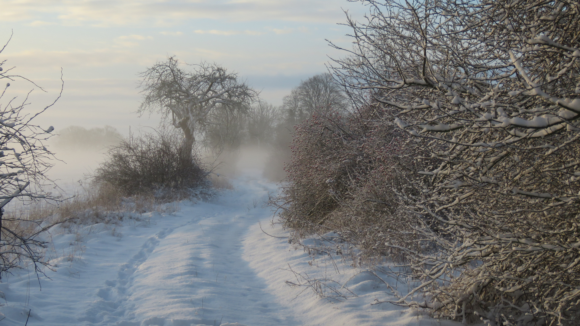 Endlich Schnee...