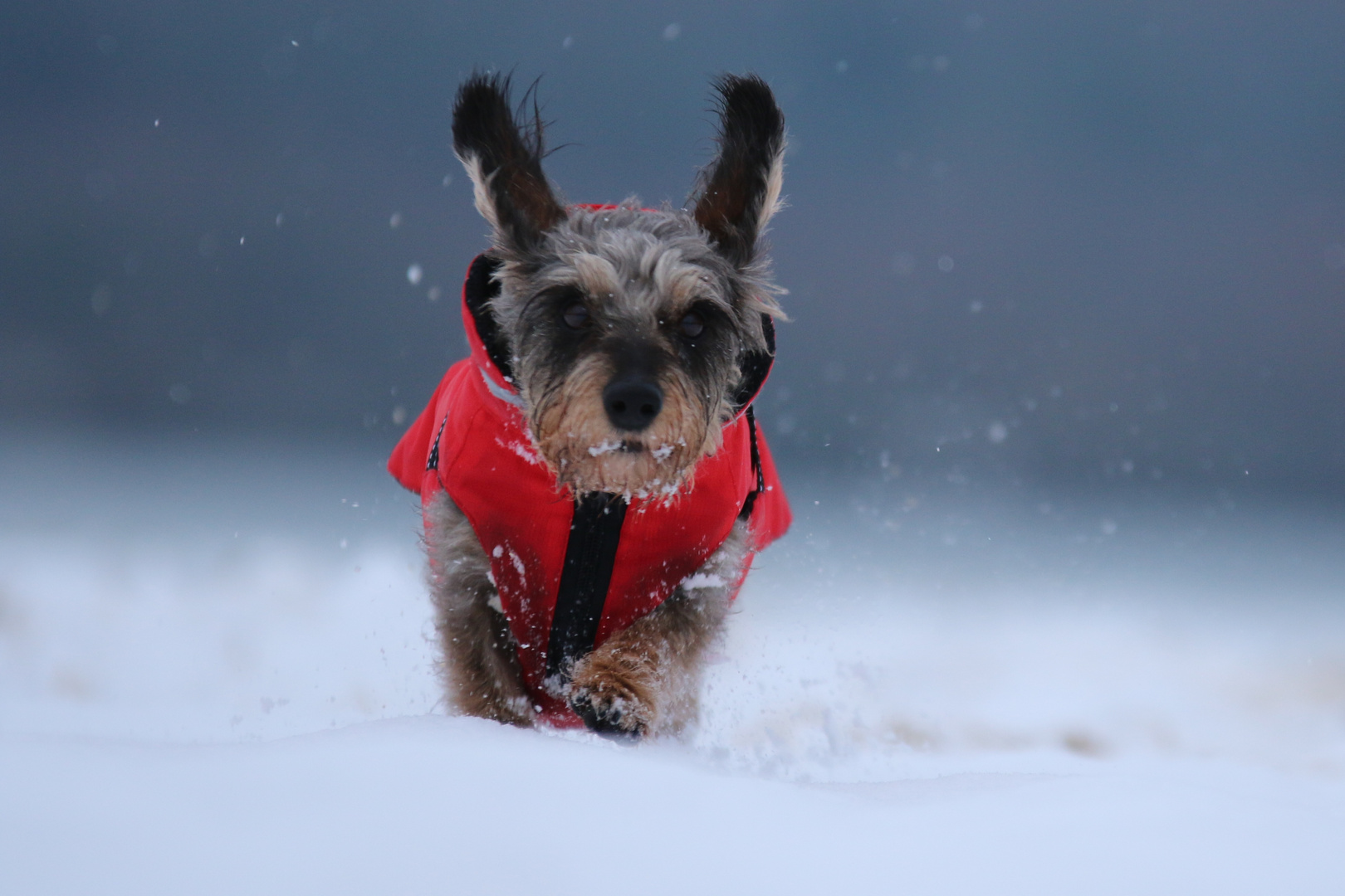 Endlich Schnee!