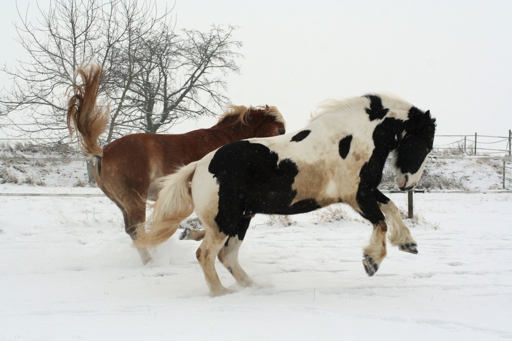 Endlich Schnee!!!