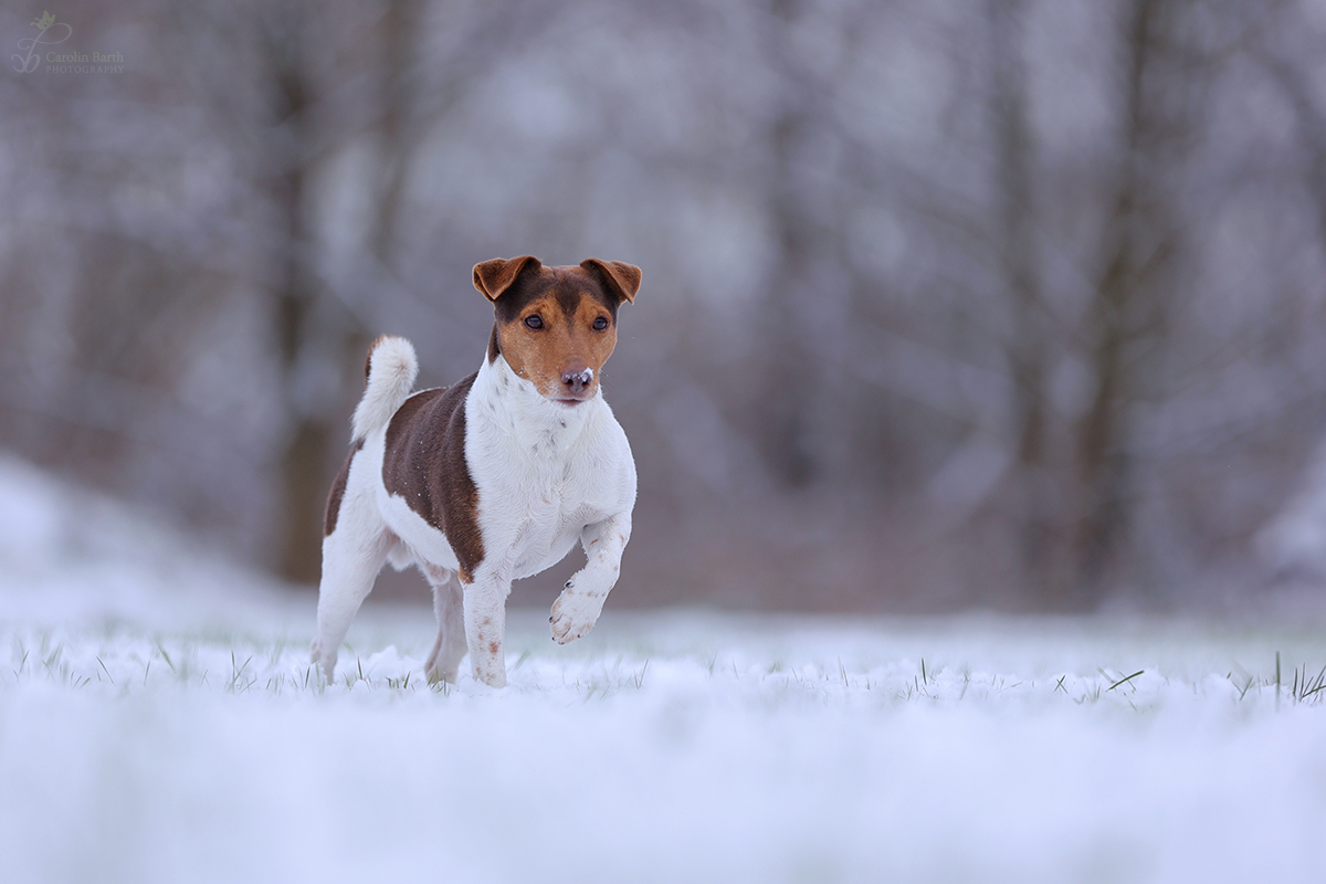 Endlich Schnee...