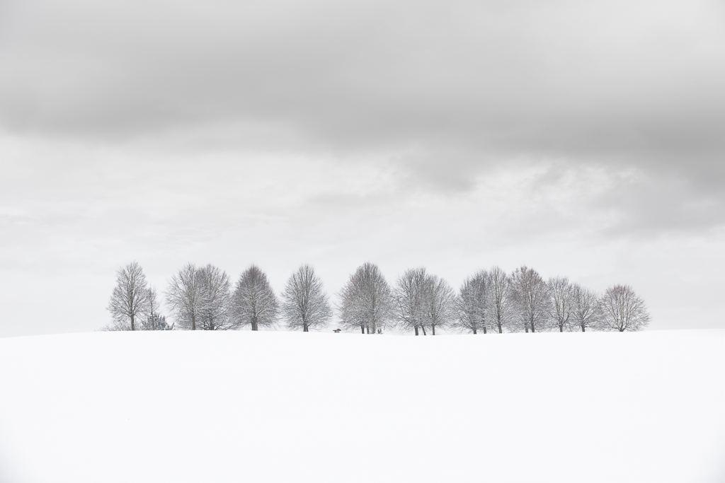 Endlich Schnee auch bei uns ... 