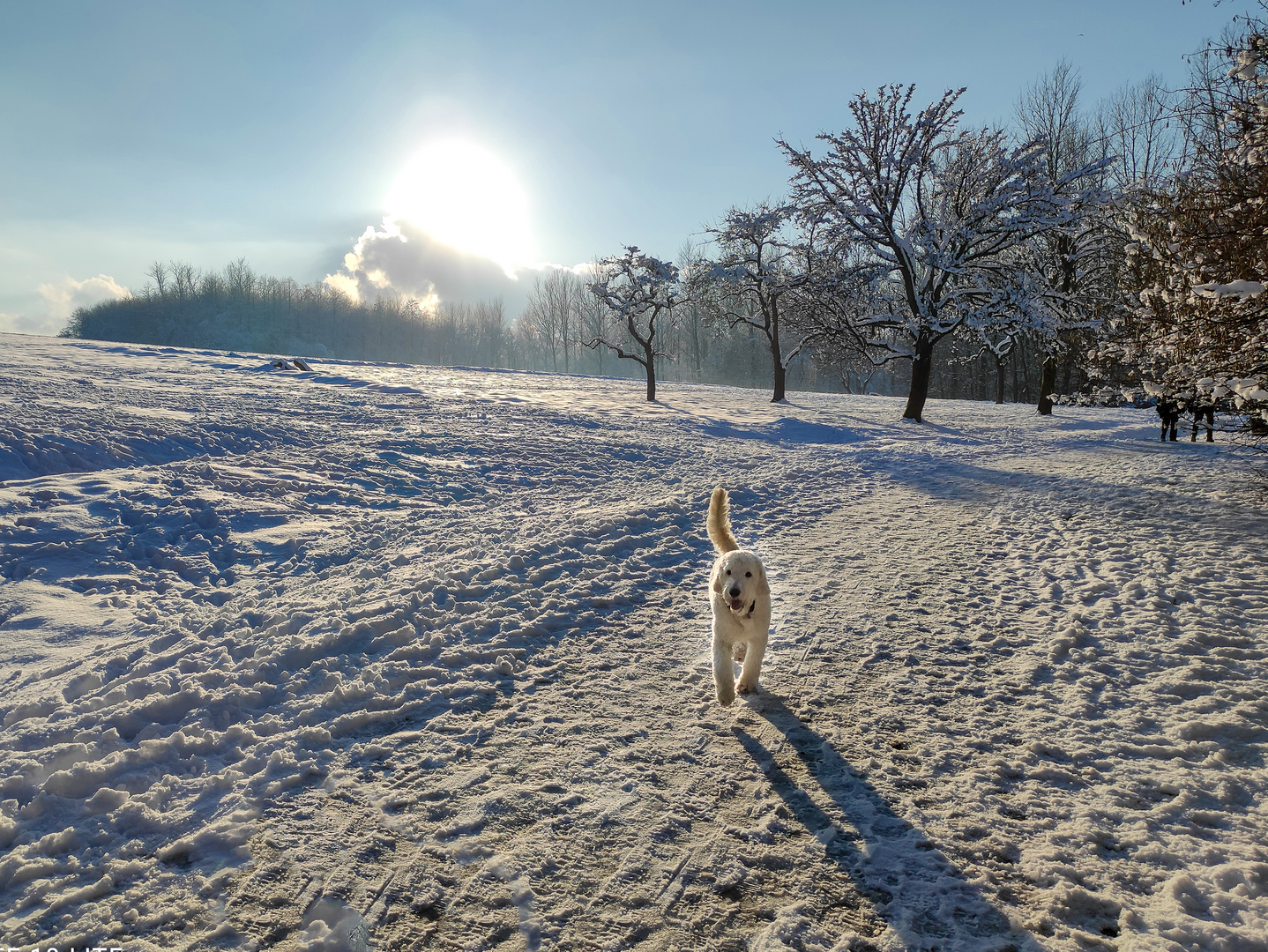 endlich Schnee