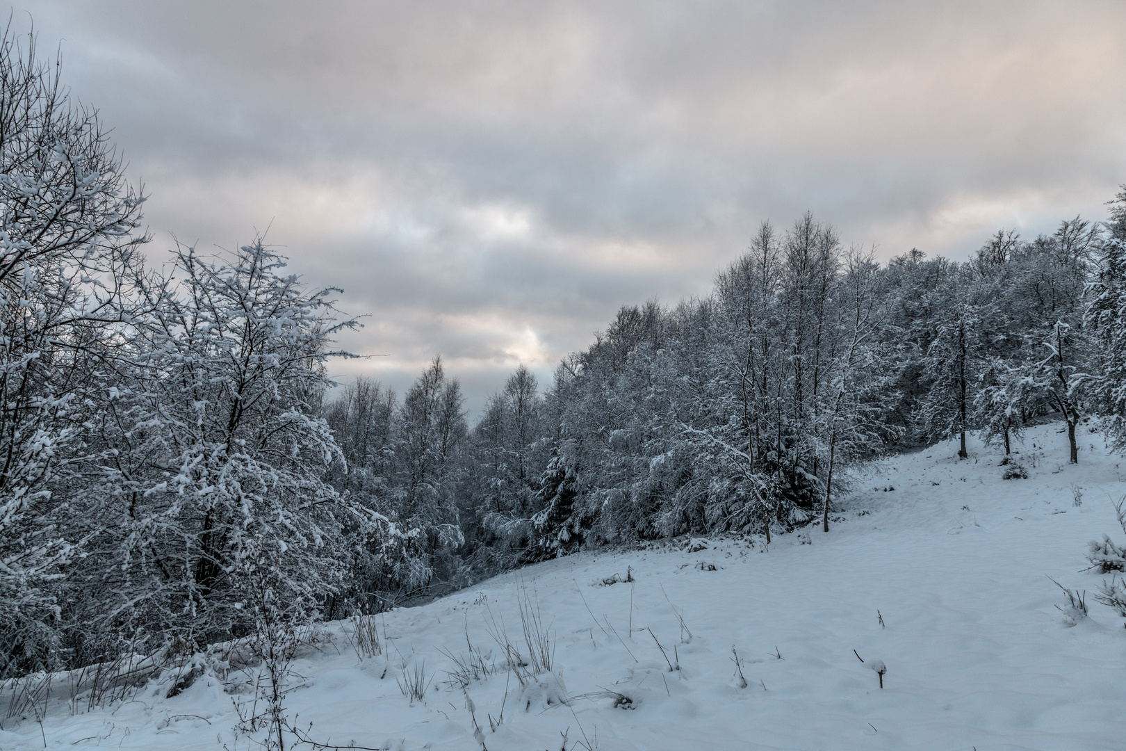 endlich Schnee