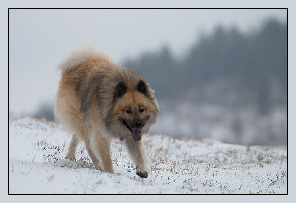 endlich Schnee