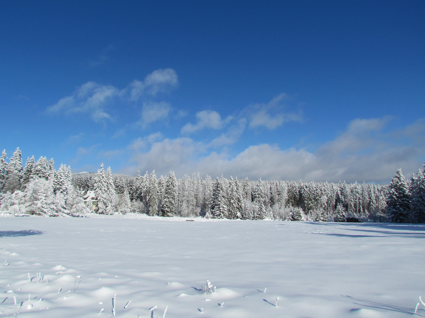 Endlich Schnee ...