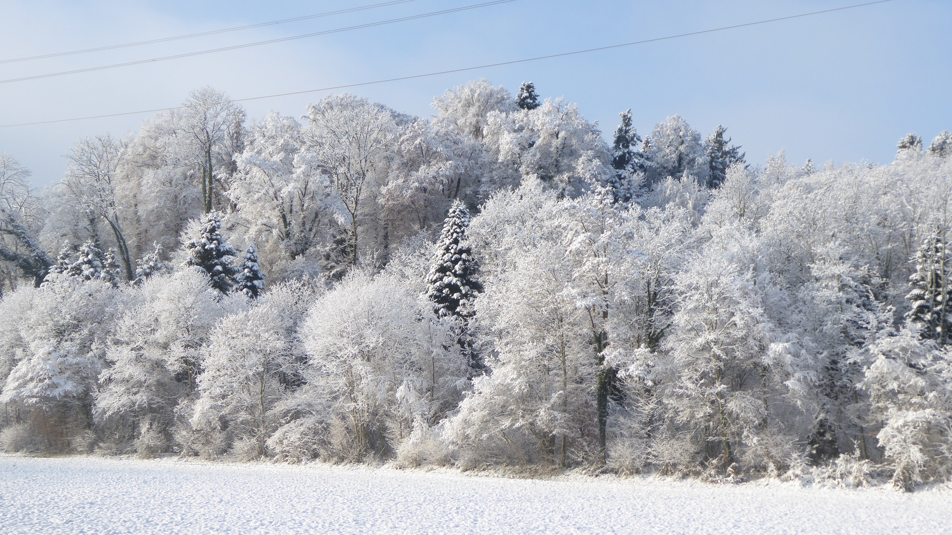 Endlich Schnee