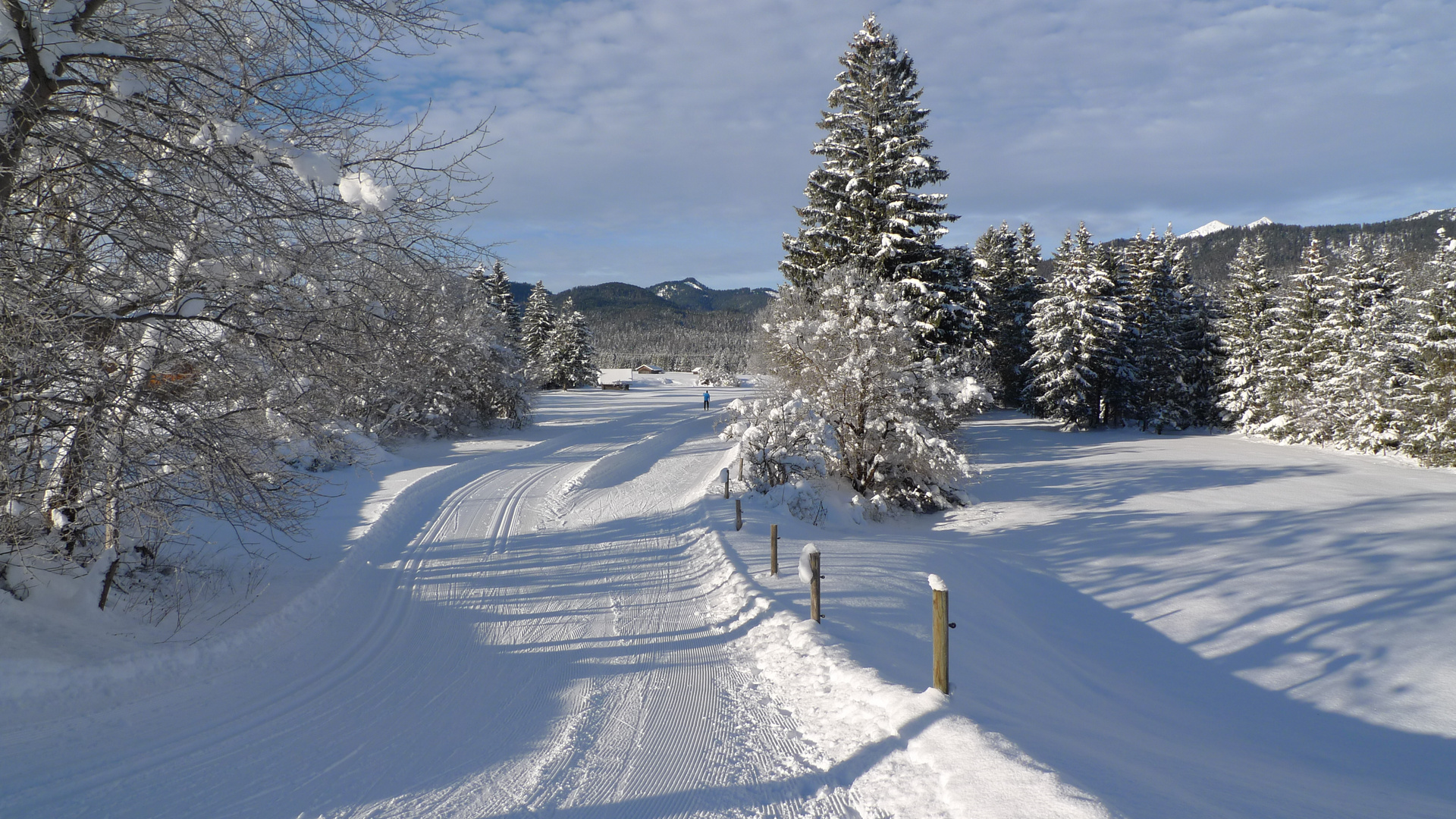 endlich Schnee