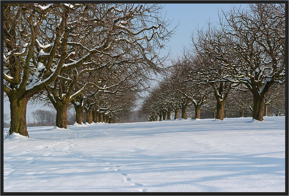 Endlich Schnee