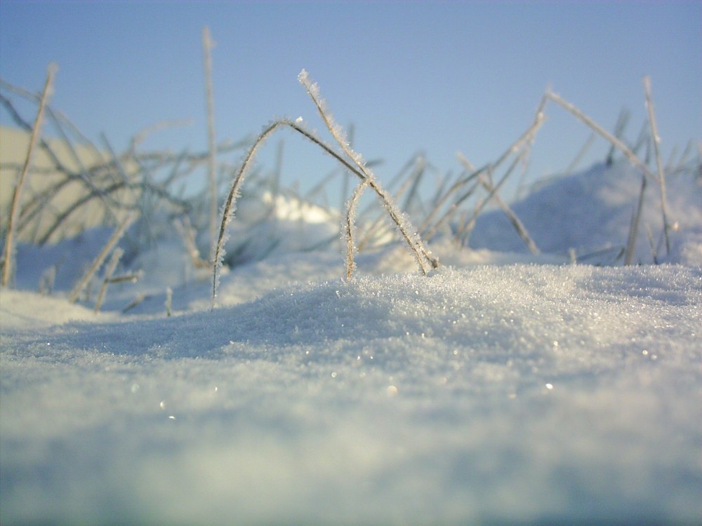 Endlich Schnee! :)