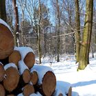 Endlich Schnee in Köln