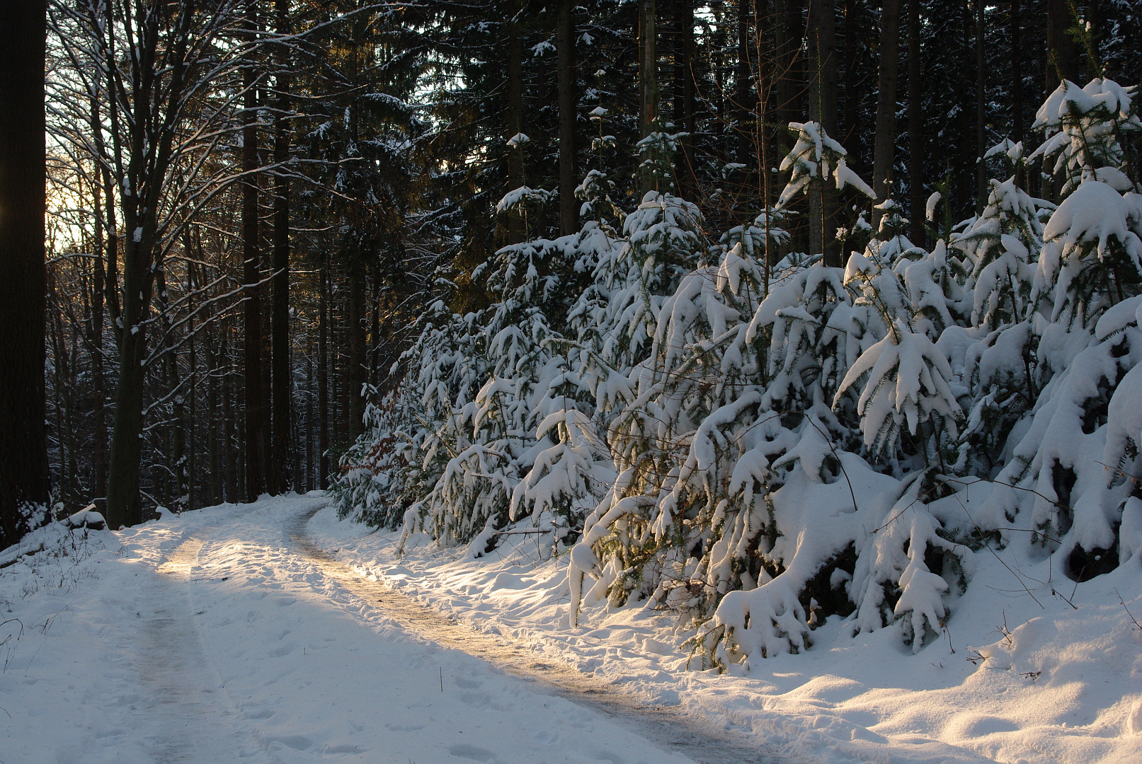 Endlich Schnee mit Sonne