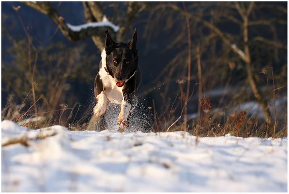 ...Endlich Schnee und sogar Sonne...