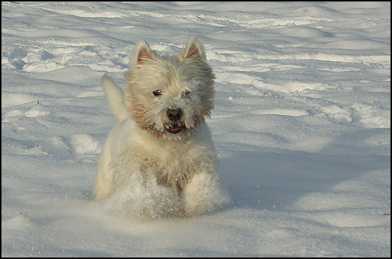 Endlich Schnee UND Sonne