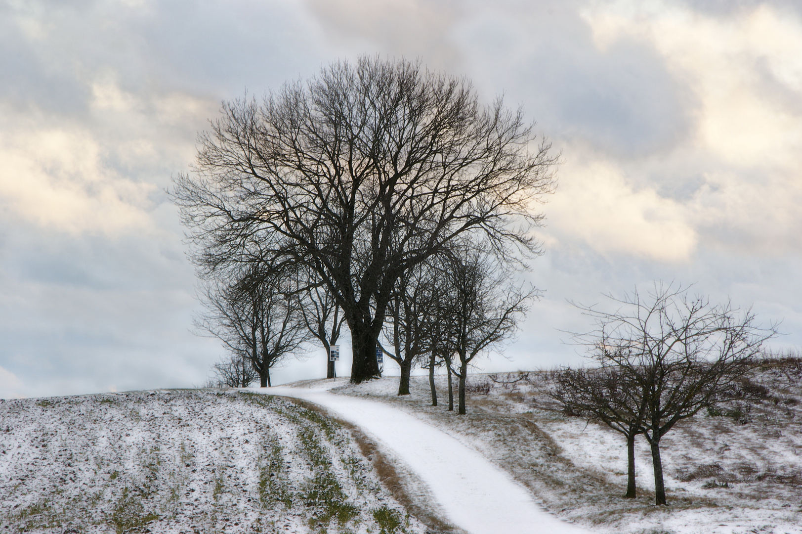 Endlich Schnee!!!!!! - war auf der Alb