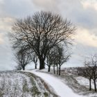 Endlich Schnee!!!!!! - war auf der Alb