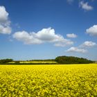 endlich schönes Wetter!