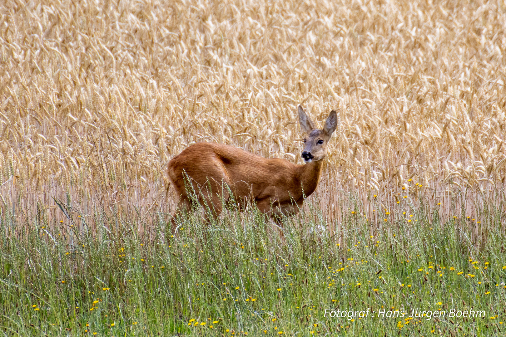 Endlich sichtbar - weitere Bilder