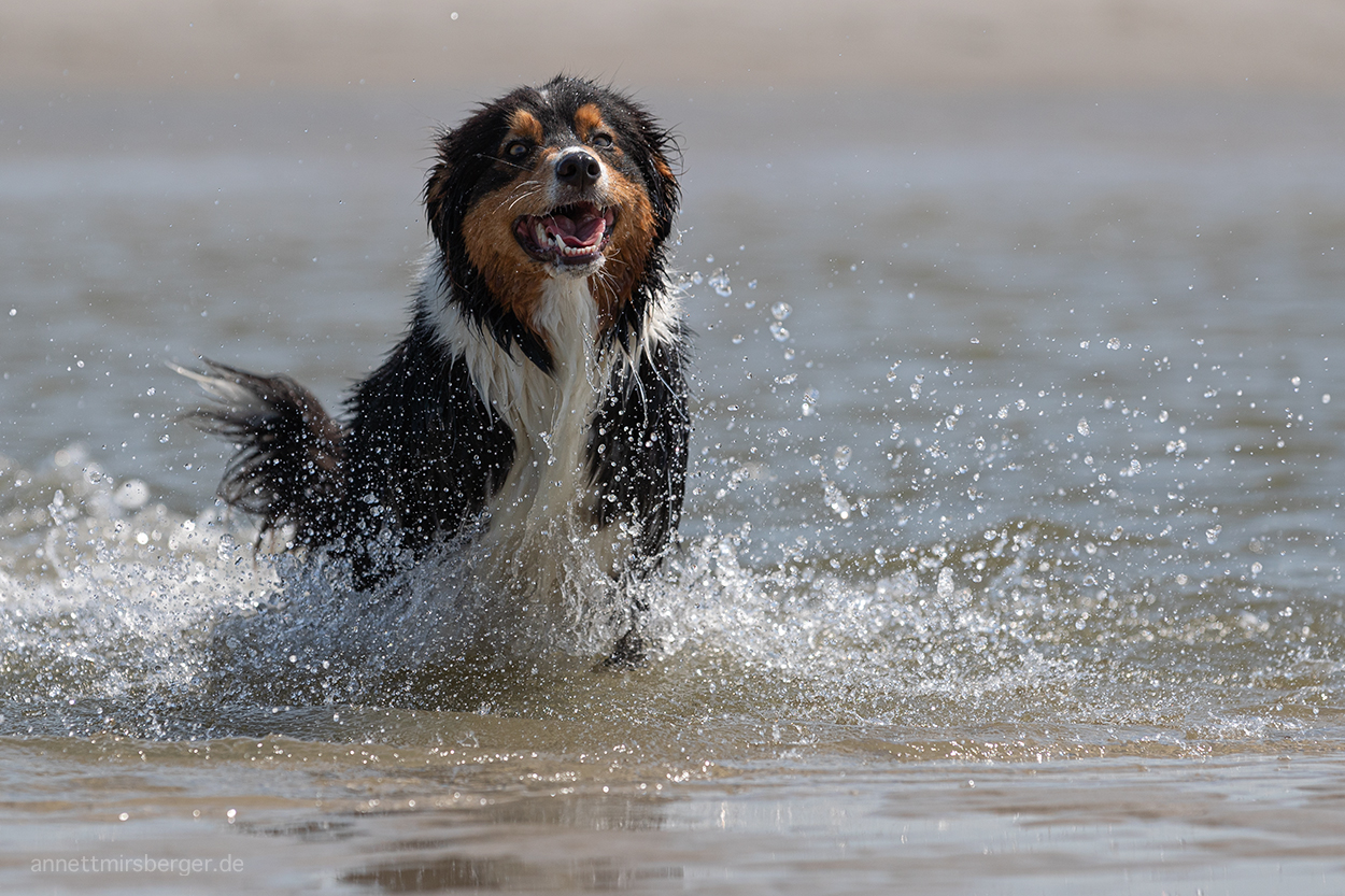 Endlich Sommer!