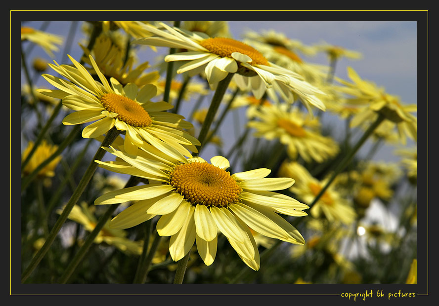 Endlich Sommer