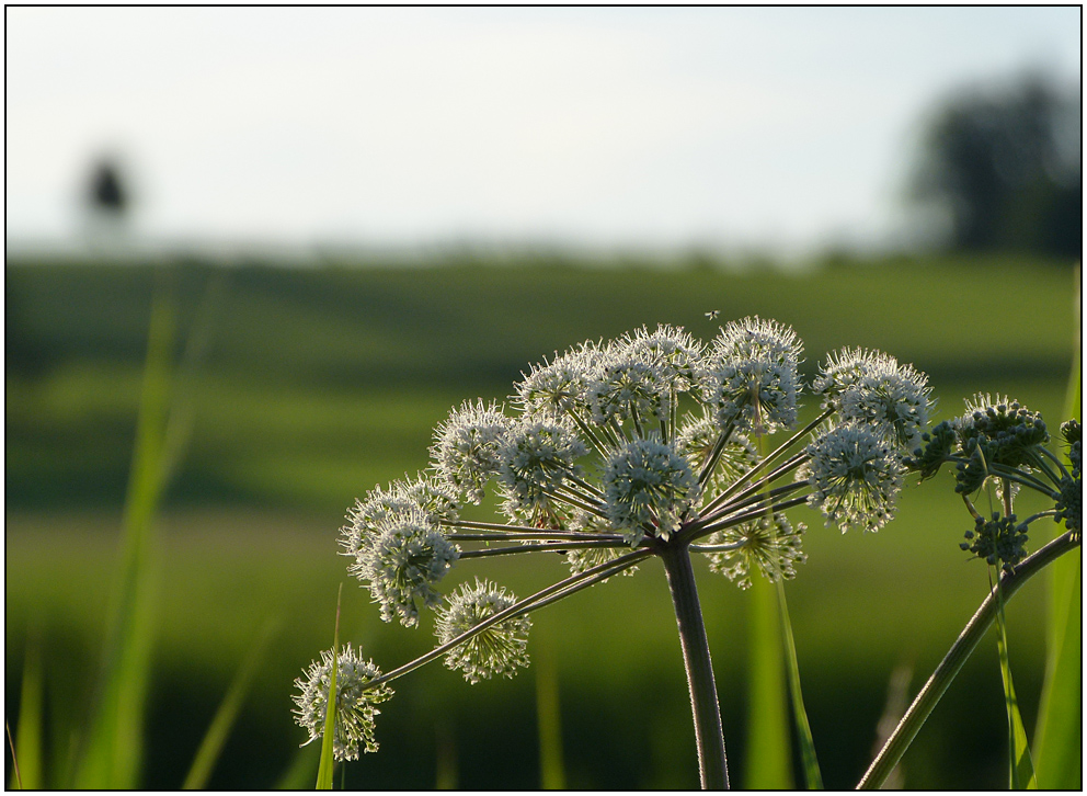 Endlich Sommer!