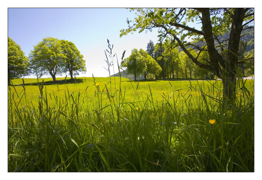 endlich sommer