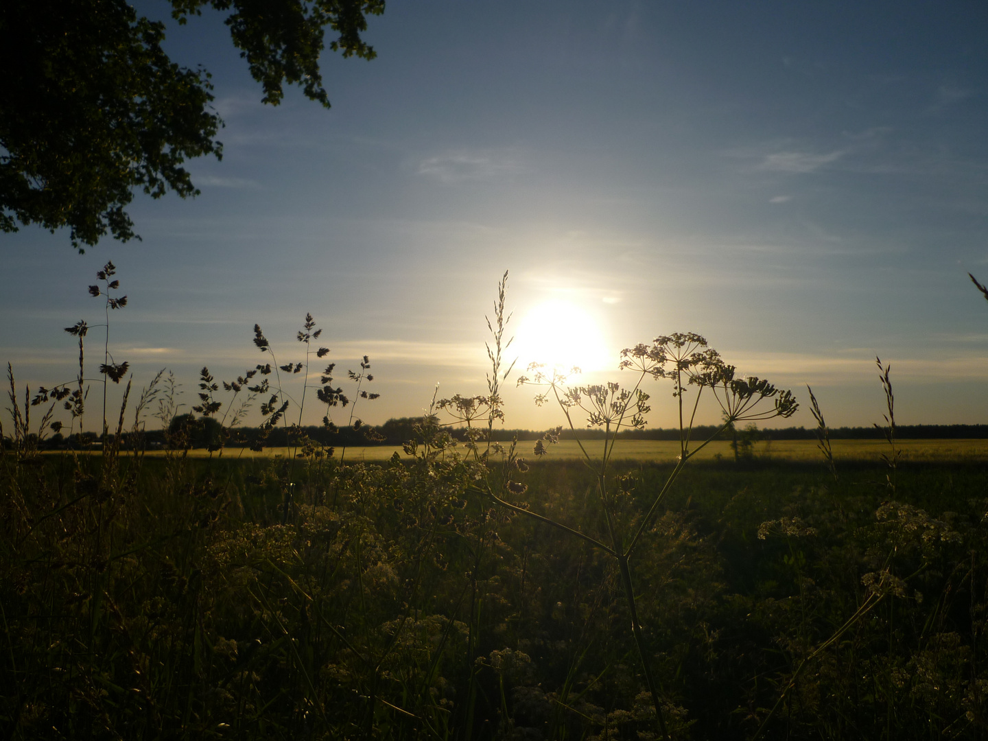 endlich Sommer...