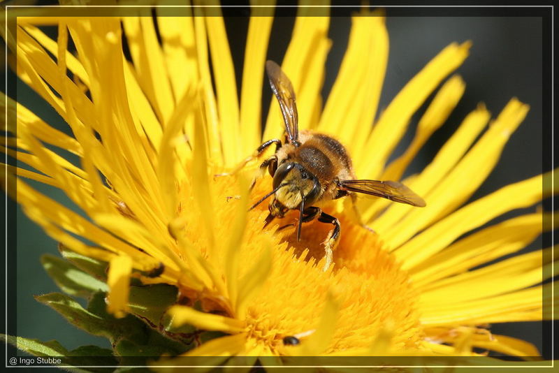 Endlich Sommer....