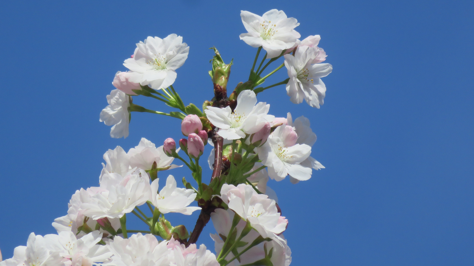 Endlich Sommer ! 