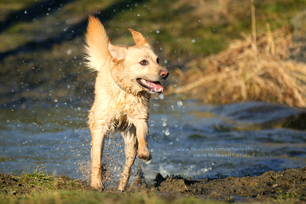 Endlich Sommer!