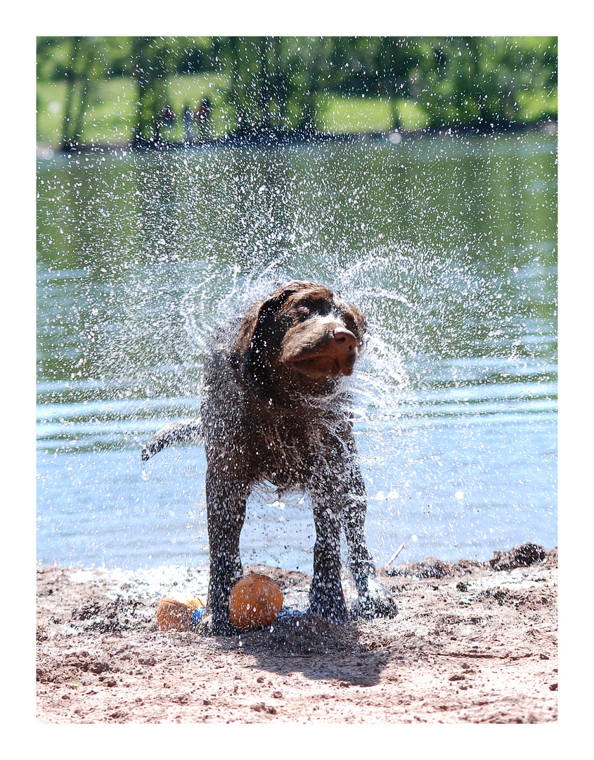 Endlich SOMMER!!!