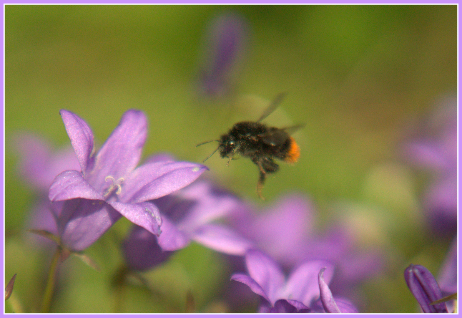 Endlich Sommer