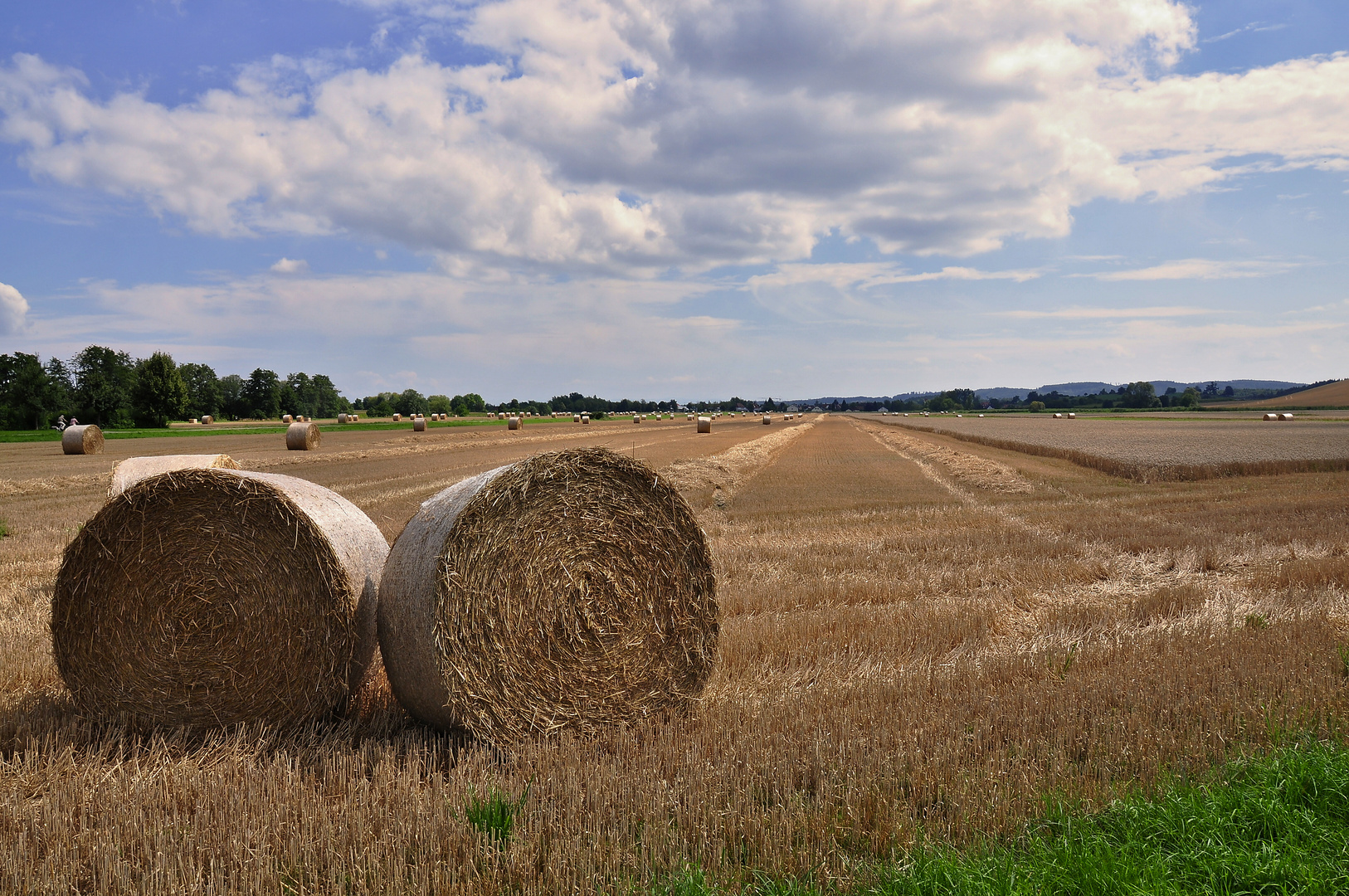 Endlich Sommer