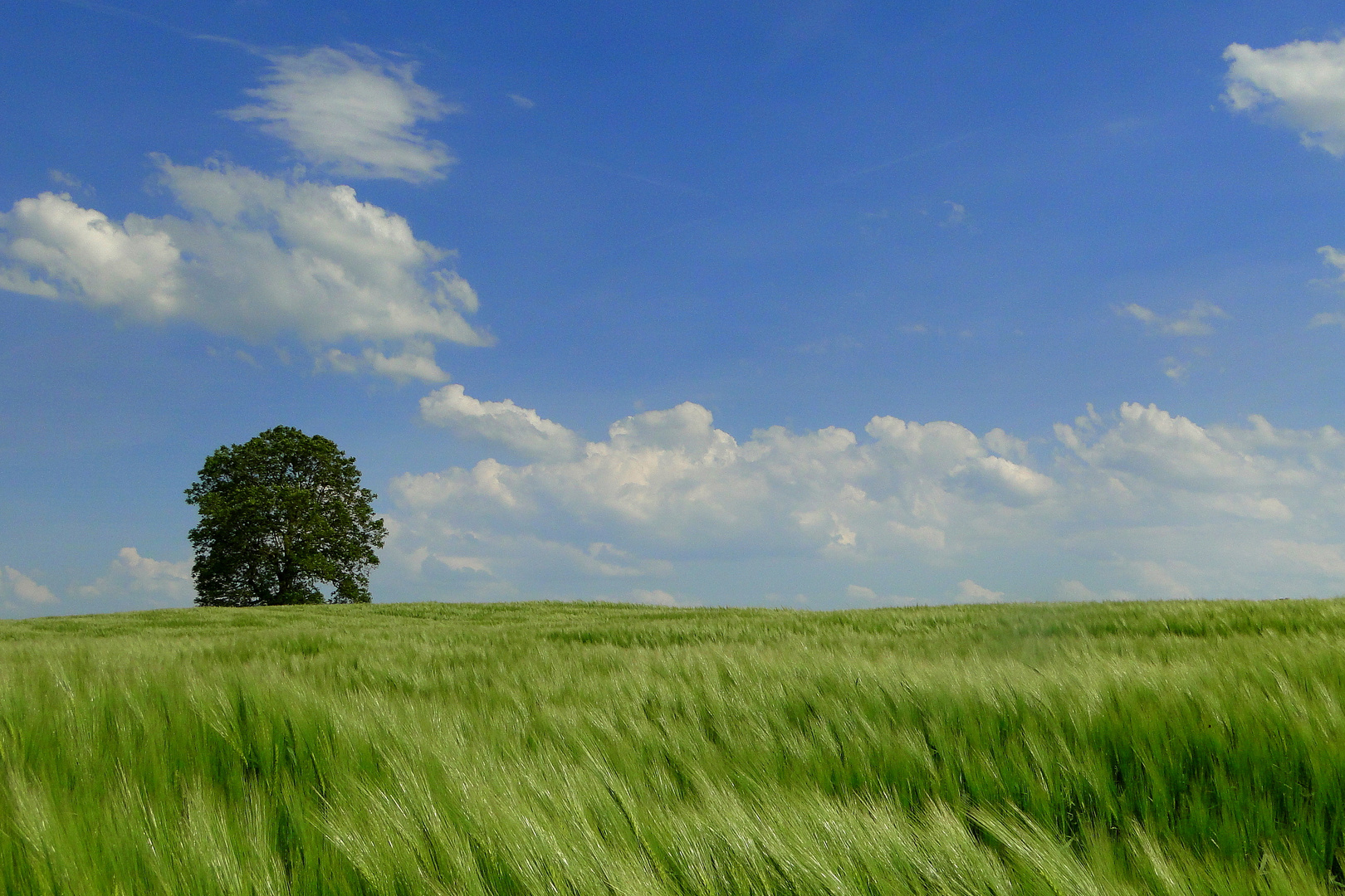 Endlich Sommer....................