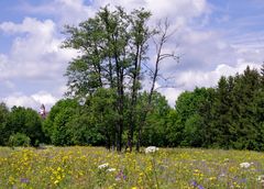 Endlich Sommer