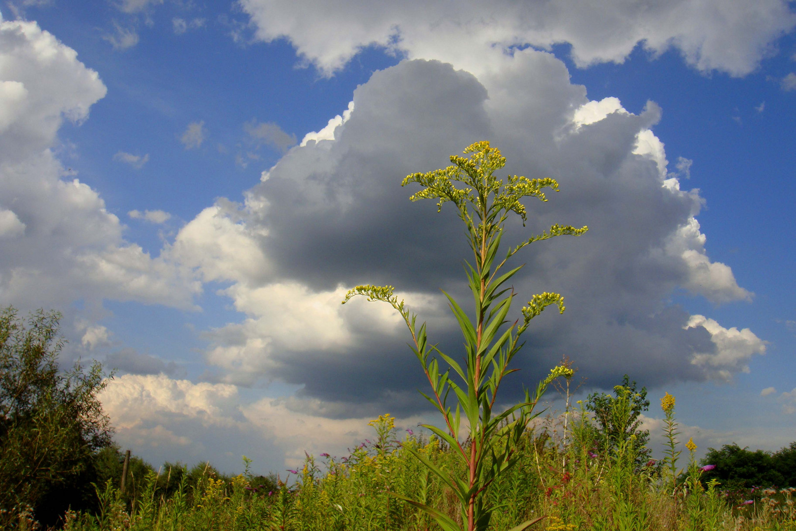 ...endlich Sommer