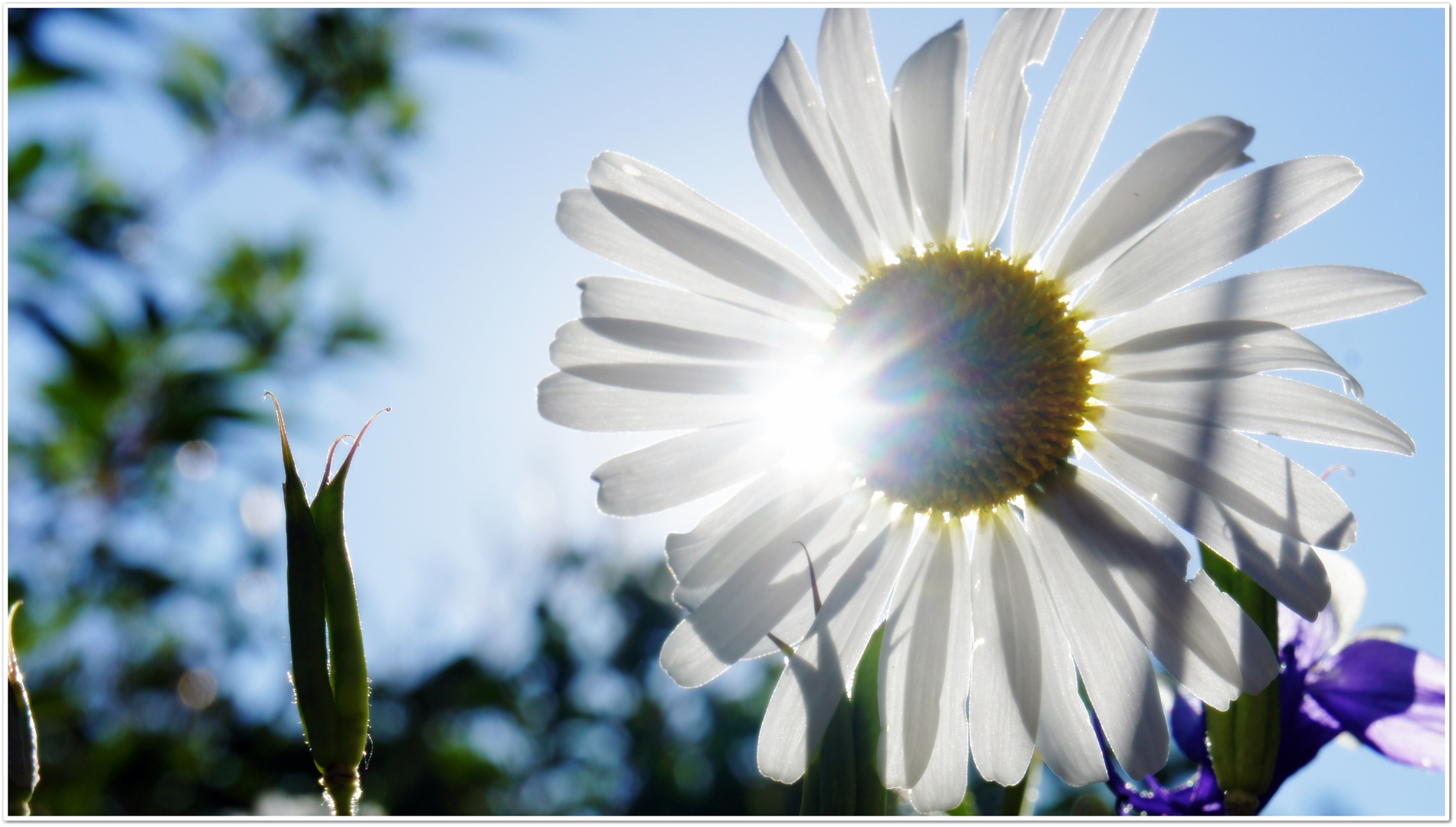 Endlich Sommer!