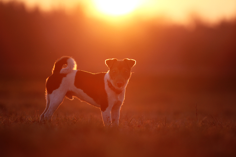 Endlich Sonne...