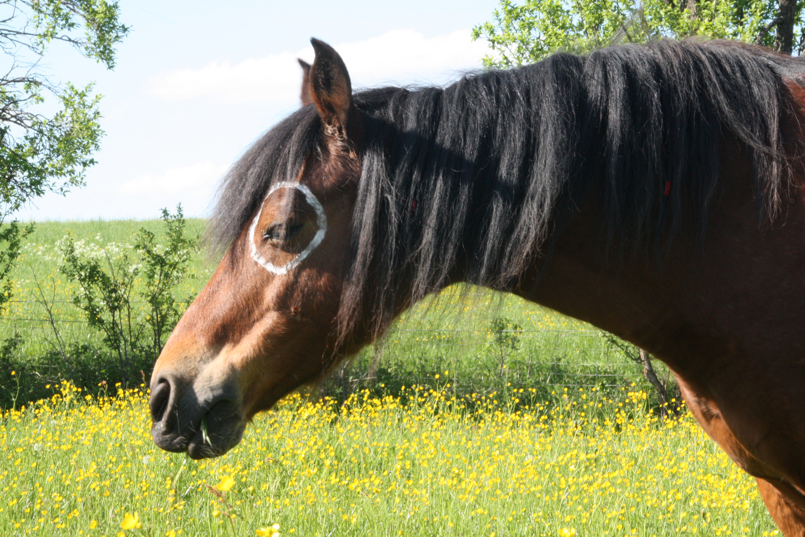 Endlich Sonne