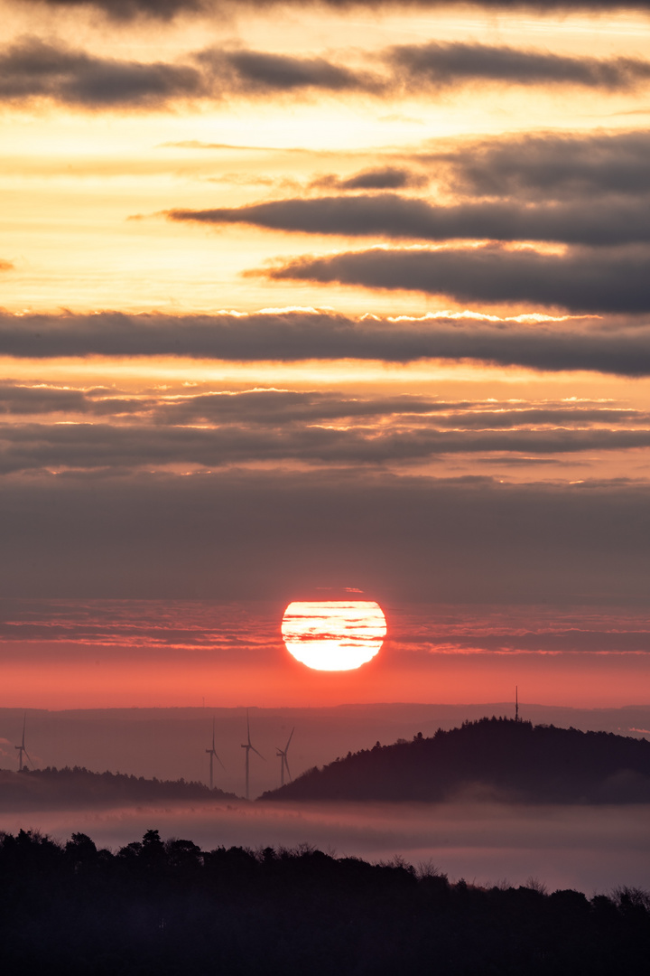 Endlich Sonne