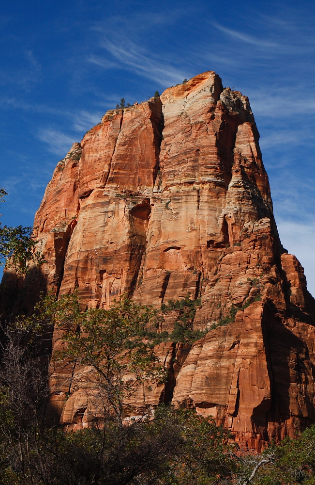 Endlich Sonne im Zion Nationalpark