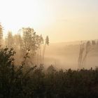 Endlich Sonne nach vielen Regentagen