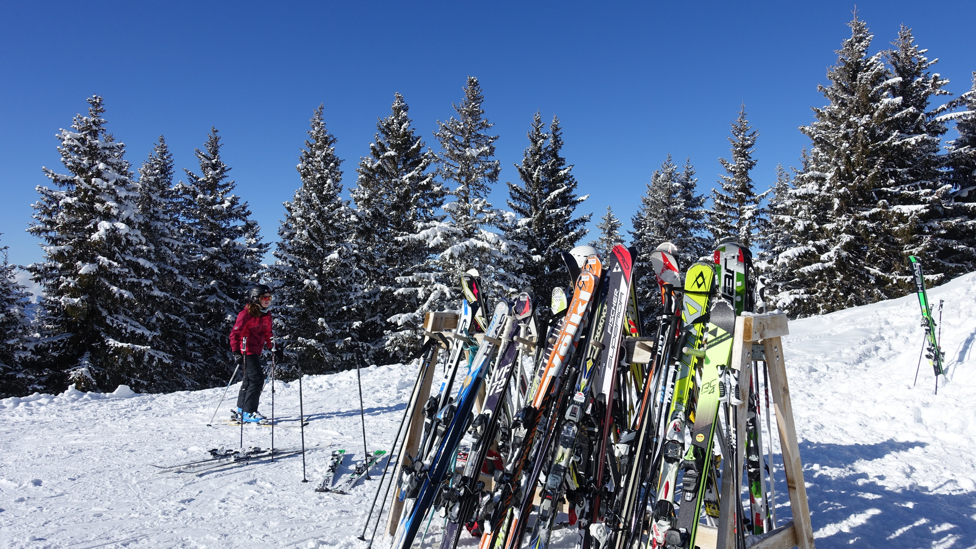 ..... endlich Sonne und kein Neuschnee mehr .