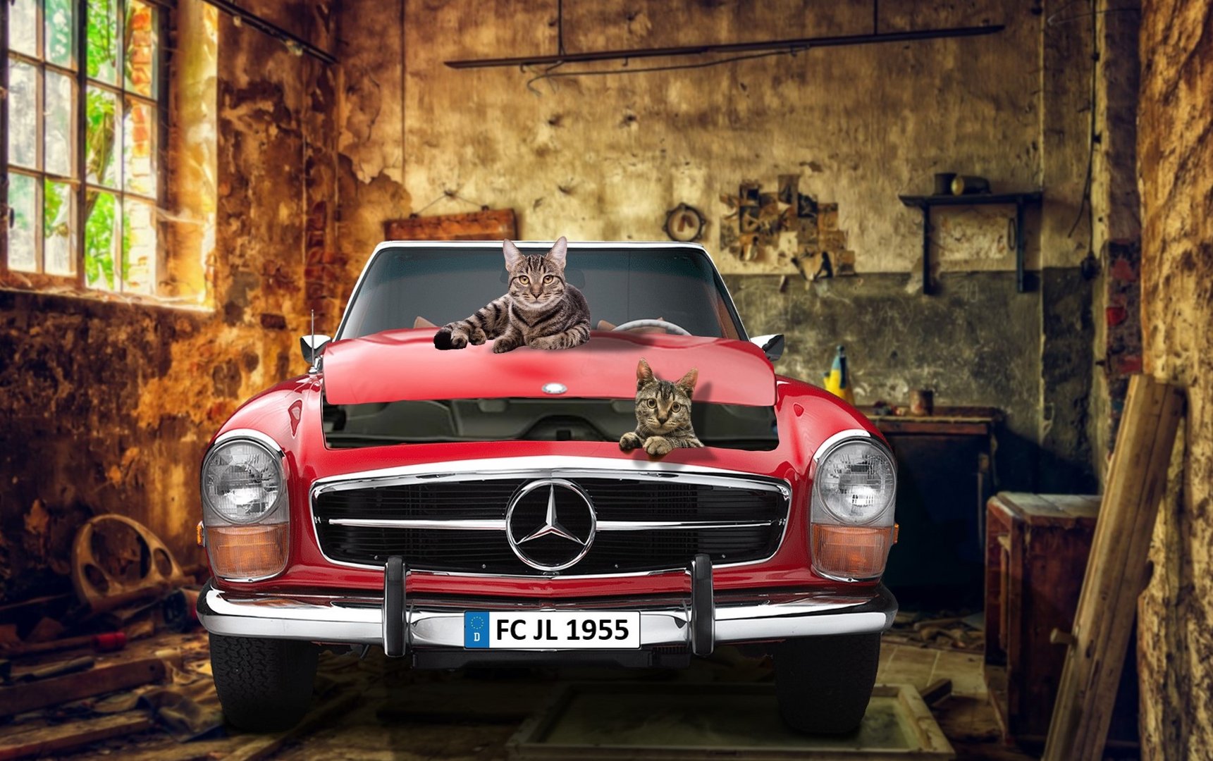 Endlich unter der Haube Foto &amp; Bild | fotomontage, fantasy mystery, fun ...